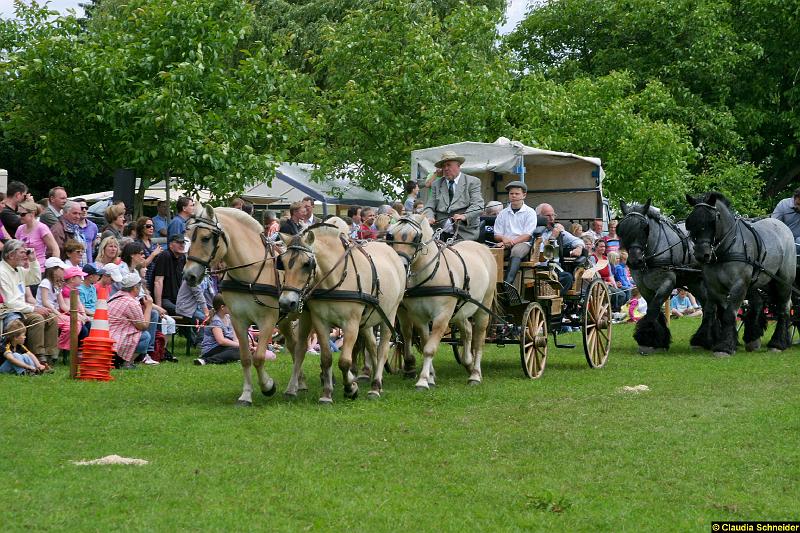 Ponytag Bosbach 2012-006.jpg